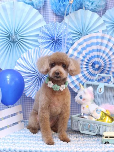 20231129メリーちゃん